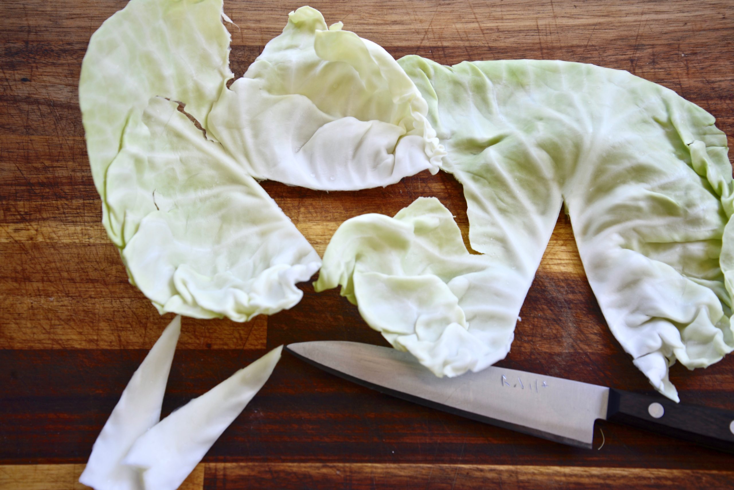 Cabbage Leaf Wrap for Joint Pain & Swelling Our Gabled Home