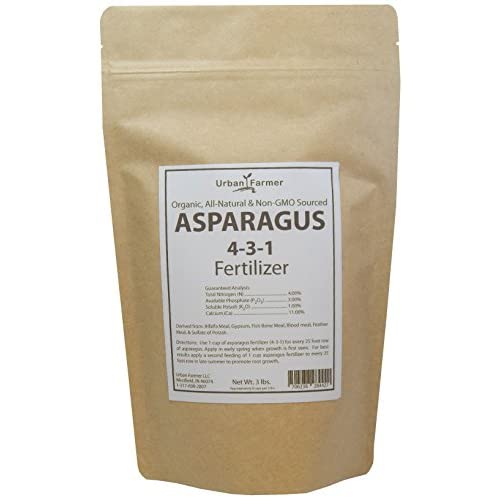 How to Grow Asparagus in a Container The Complete Guide