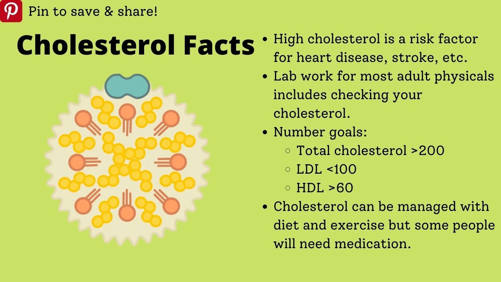 How to Successfully Lower Your LDL Cholesterol