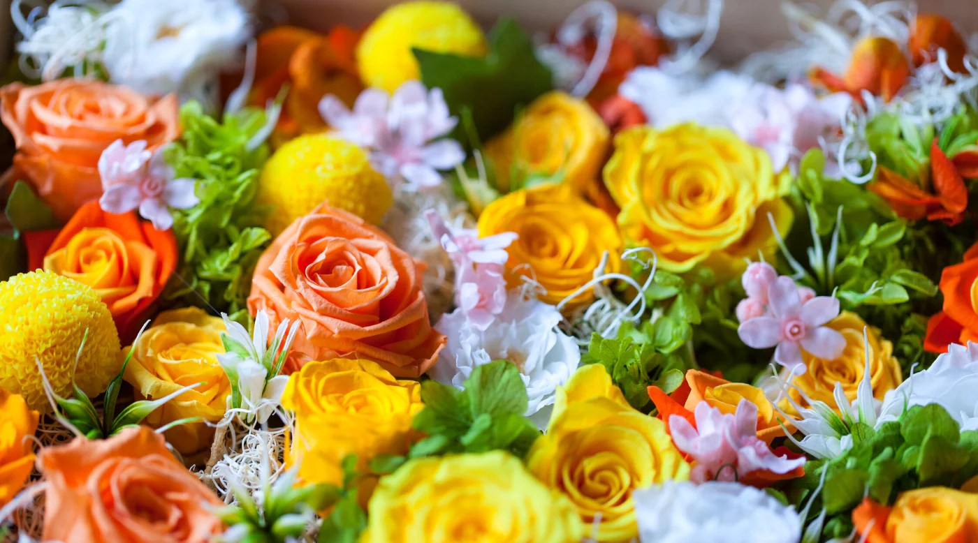 Discover the art of flower preservation a spring guide to preserving