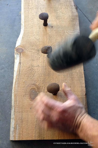 Railroad Spike Coat Rack