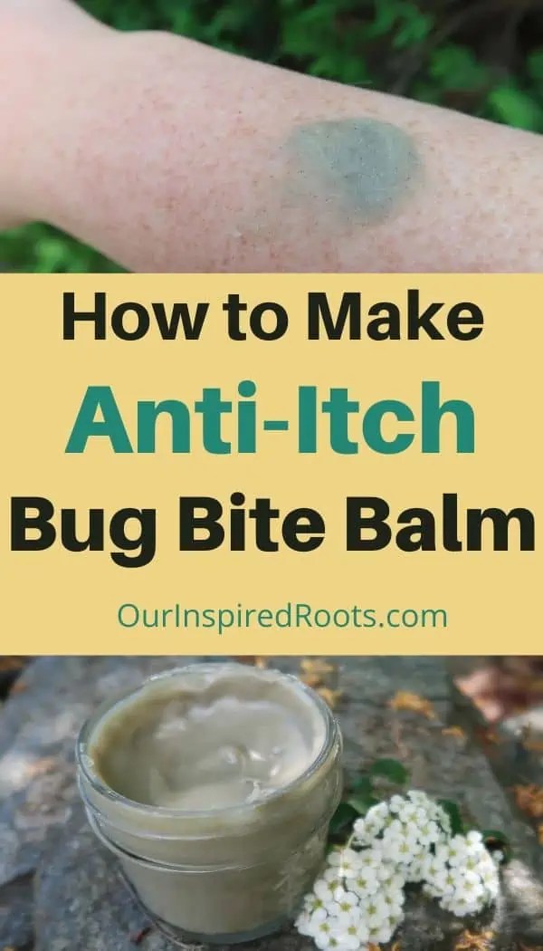 Bug Bite Balm Recipe A Natural Bug Bite Remedy
