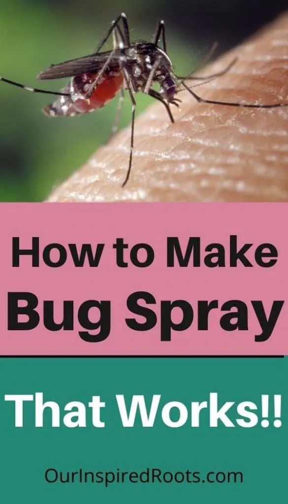 Homemade Bug Spray That Actually Works (Great for Kids!)