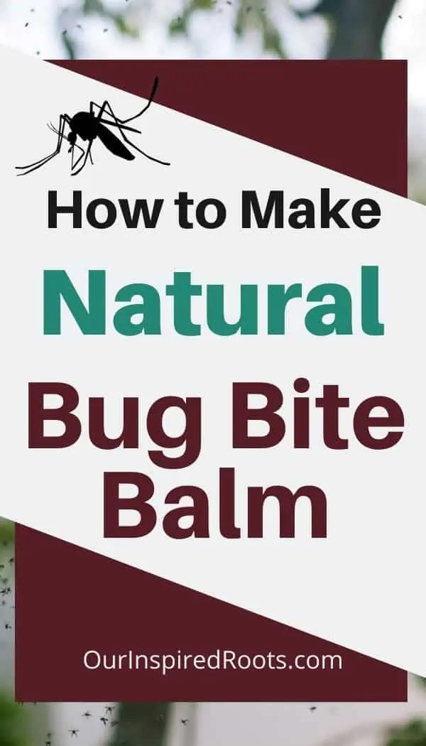 Bug Bite Balm Recipe A Natural Bug Bite Remedy
