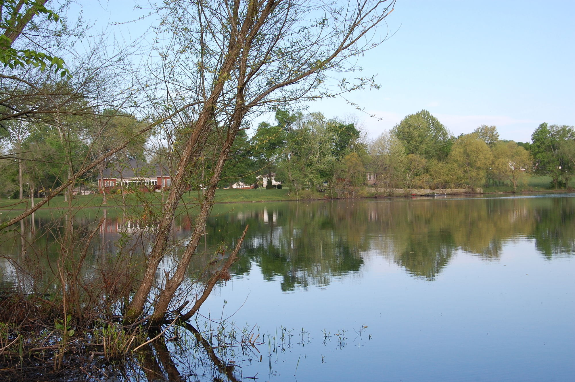 Lakeview HOA Spring Hill TN