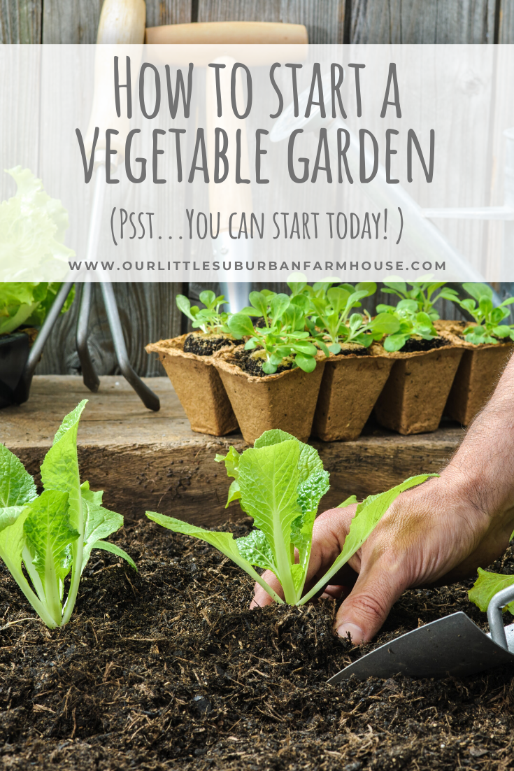 How to start a vegetable garden Our Little Suburban Farmhouse