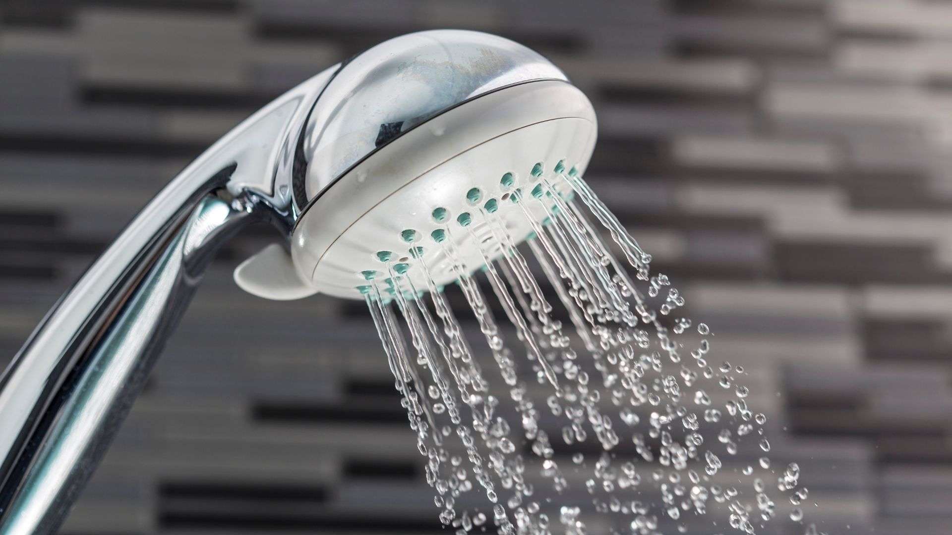 Shower Head Will Not Come Off How To Fix A Leaking Shower Head Our Local Plumbing Service