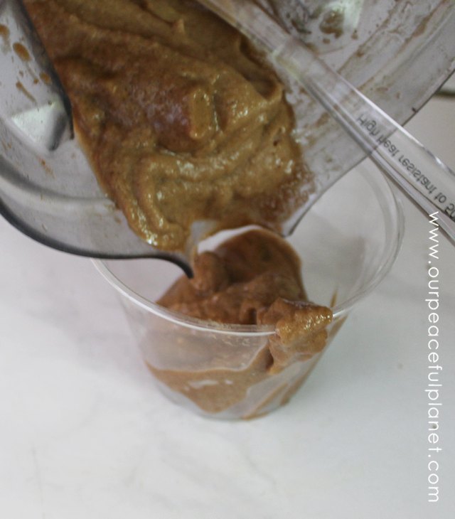 Healthy Ice Cream in a Blender