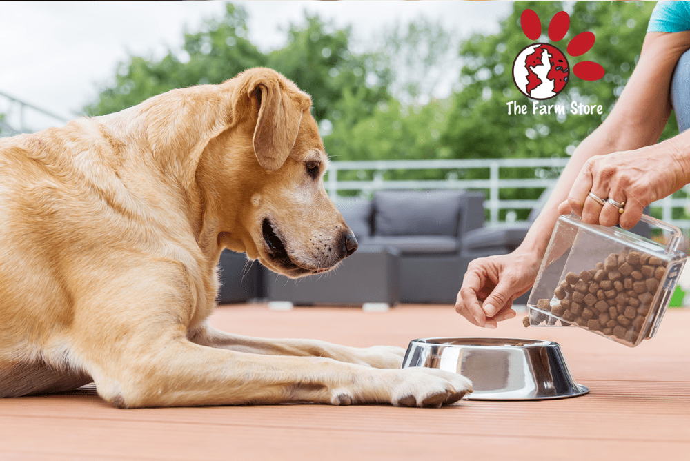 Best Organic Dog Food Reviews 2022