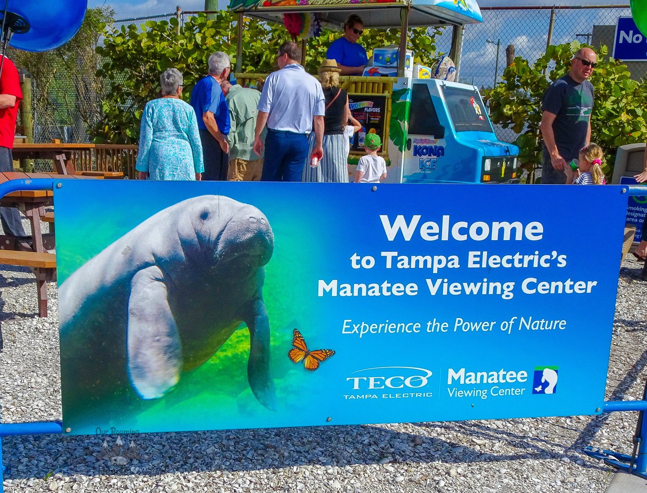Manatee Viewing Center Apollo Beach Florida Our Roaming Hearts