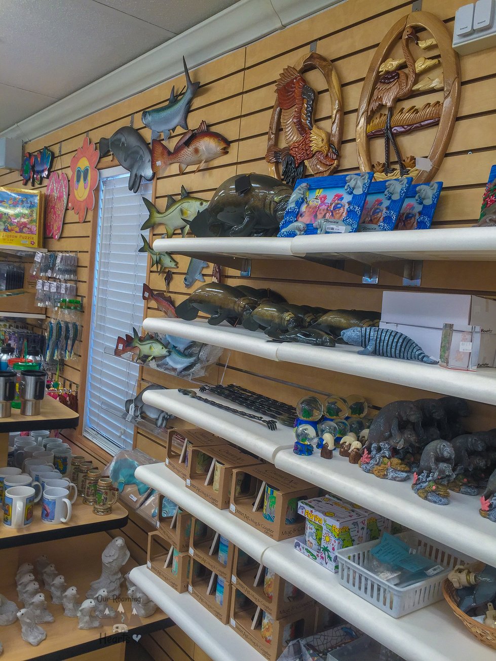 Manatee Viewing Center Apollo Beach Florida Our Roaming Hearts