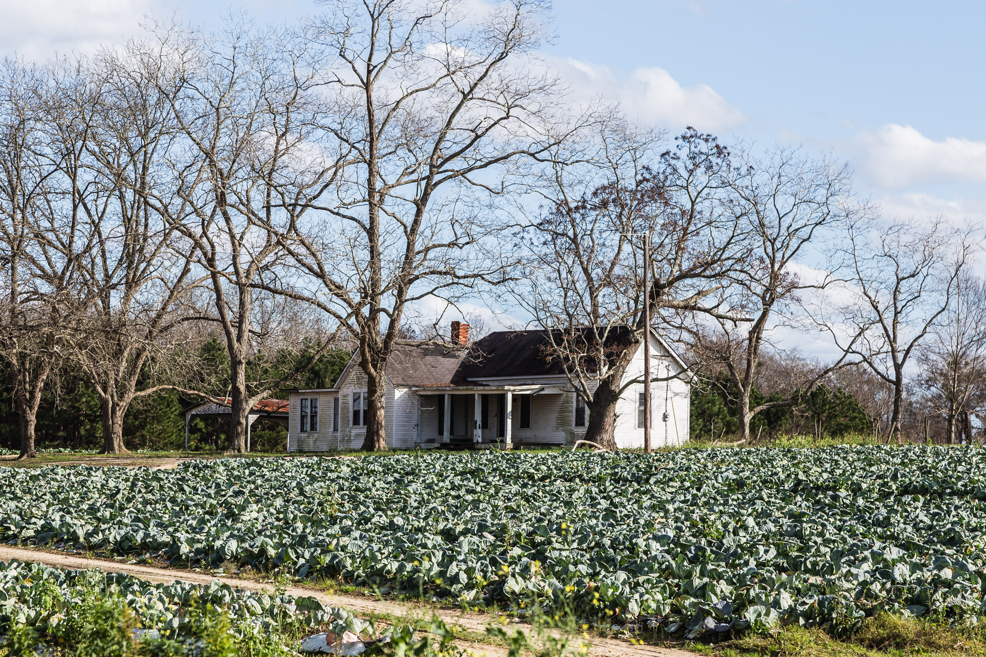 Tifton, Cabbage Patch House Our Ruins