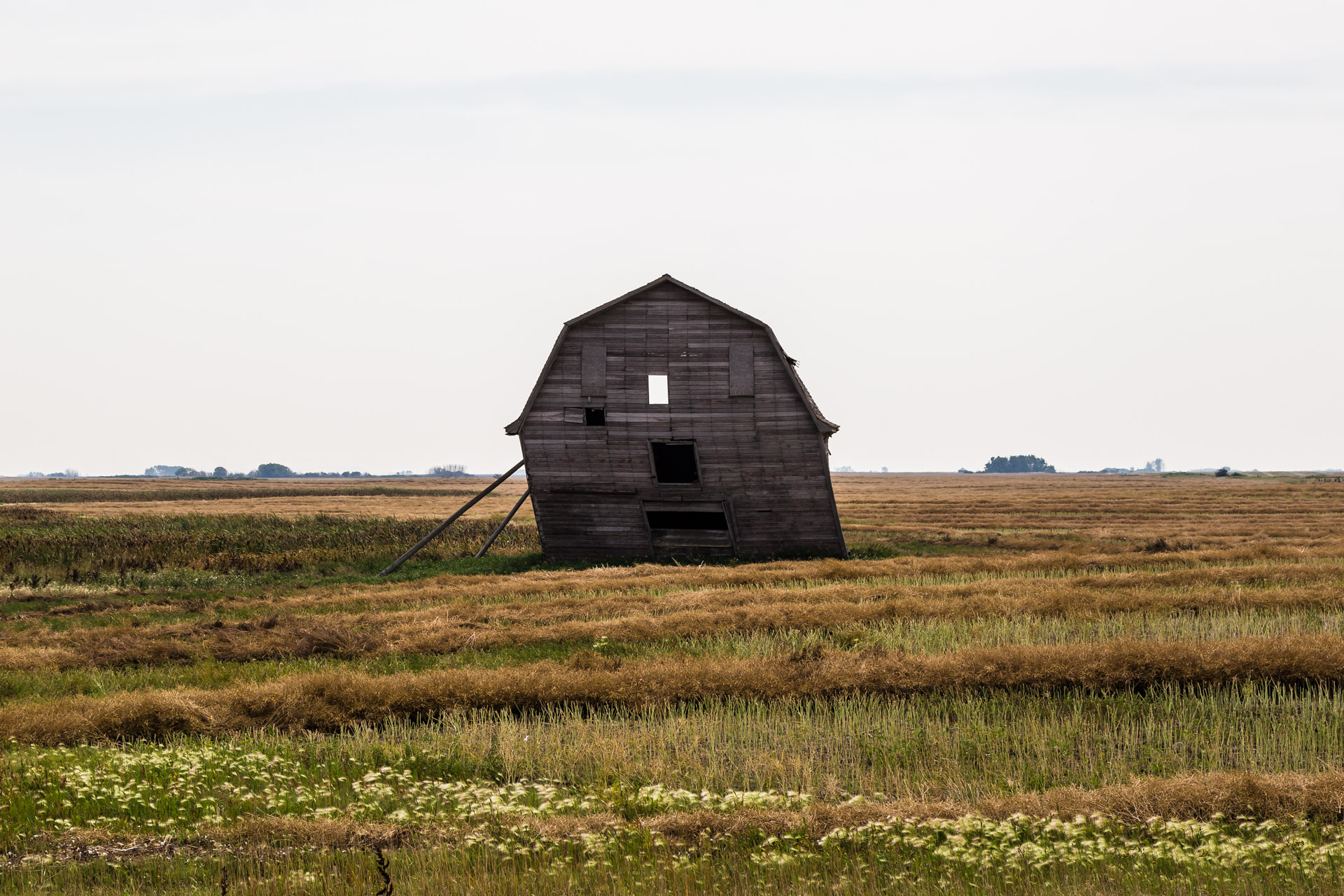 Loreburn, Saskatchewan, Canada LeanTo Barn Our Ruins