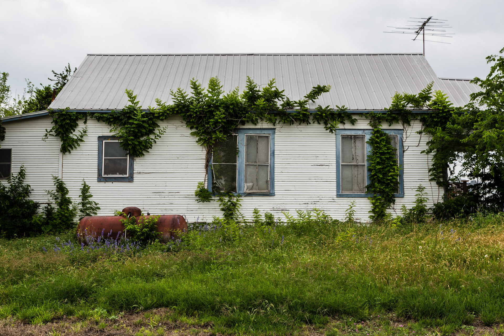 Westhoff, Texas Wall Greenery Our Ruins