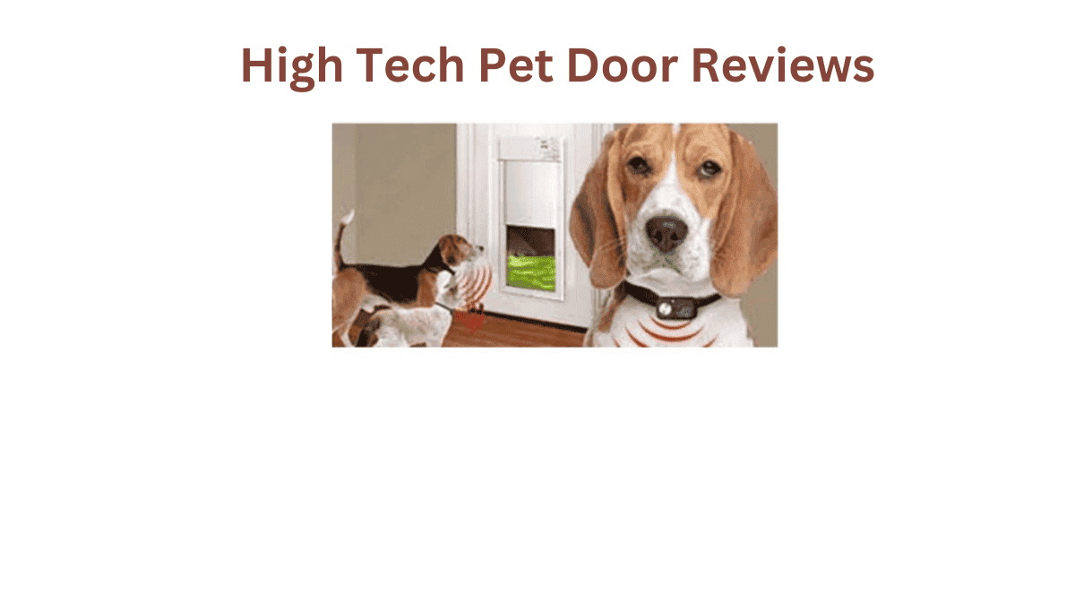 Swipe Right for Your Pawsome Pal: High Tech Pet Door Reviews