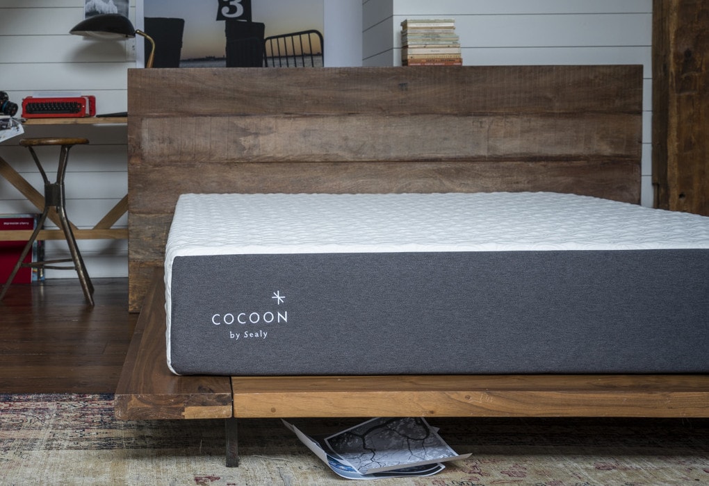 Best Sealy Mattress For Lower Back Pain