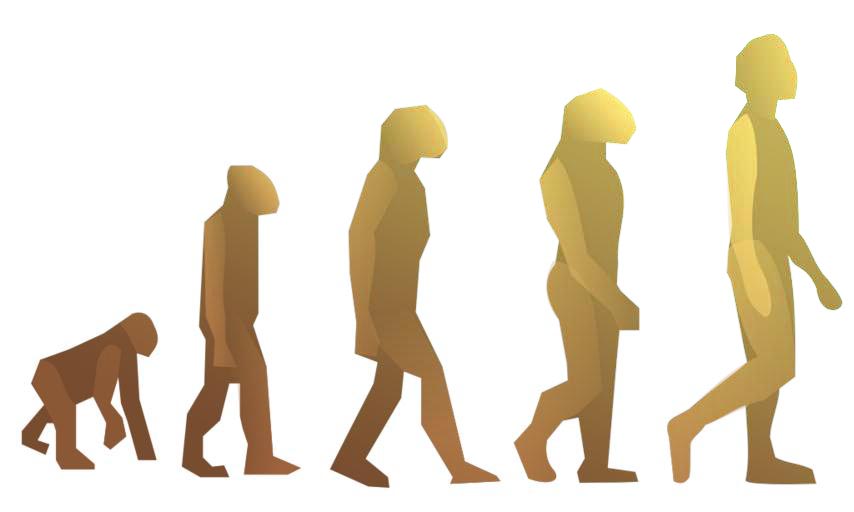 evolution of sleep
