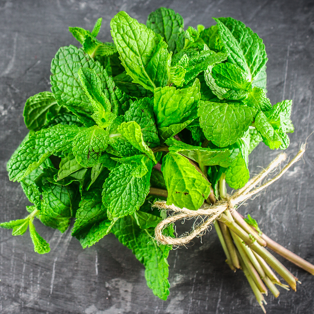 Best Bedroom Fragrance Induce Sleep, Calm Nerves & Add Romance