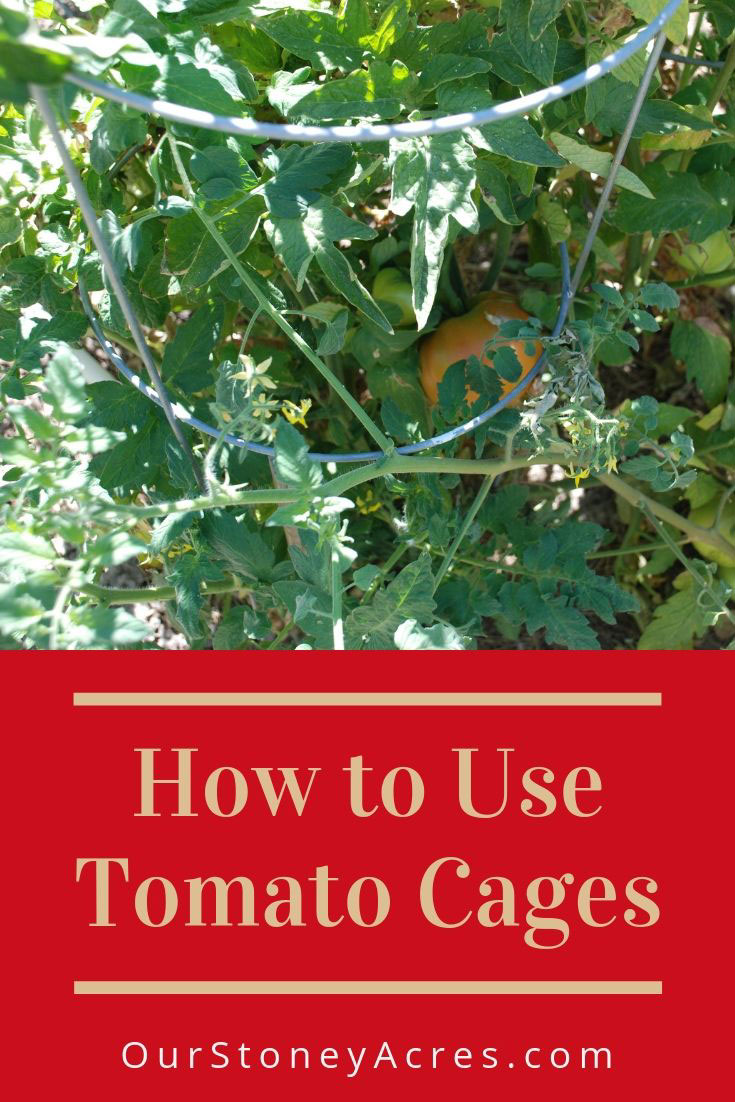 Using Tomato Cages in Your Garden Our Stoney Acres