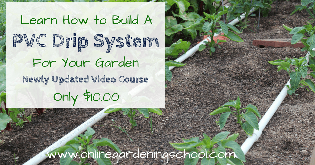 PVC Drip System Updated 10 Our Stoney Acres