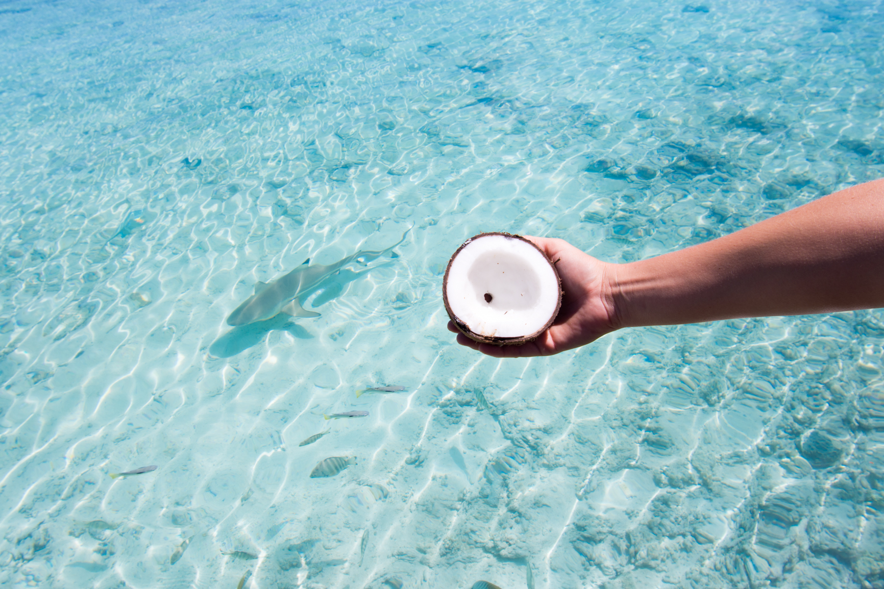 Vegan Food Guide For Your Dream Holiday in Tahiti, French Polynesia Our Travel Tip