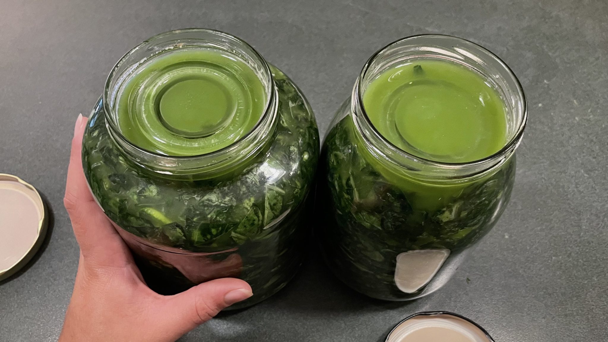 The Best Fermentation Weights Our Tropical Soil