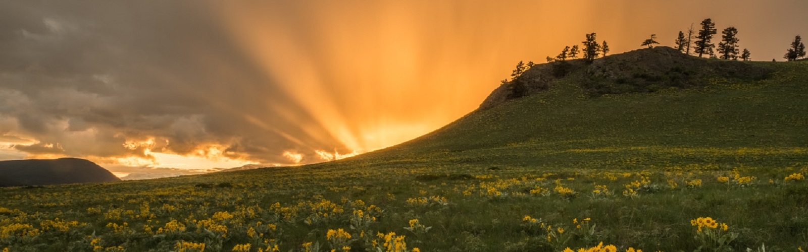 South Rocky Mountain Trench SubRegion Columbia Basin Trust