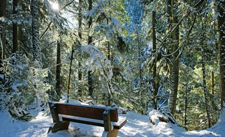 List Of Things To Do In Vancouver In The Winter 2023 22 Delightful Things To Do In Vancouver In Winter – Our Wanders