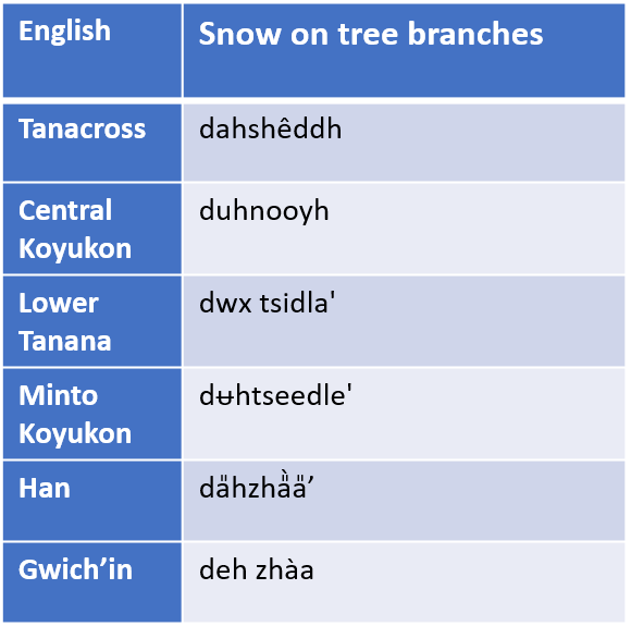 Snow in Language Our Winter World