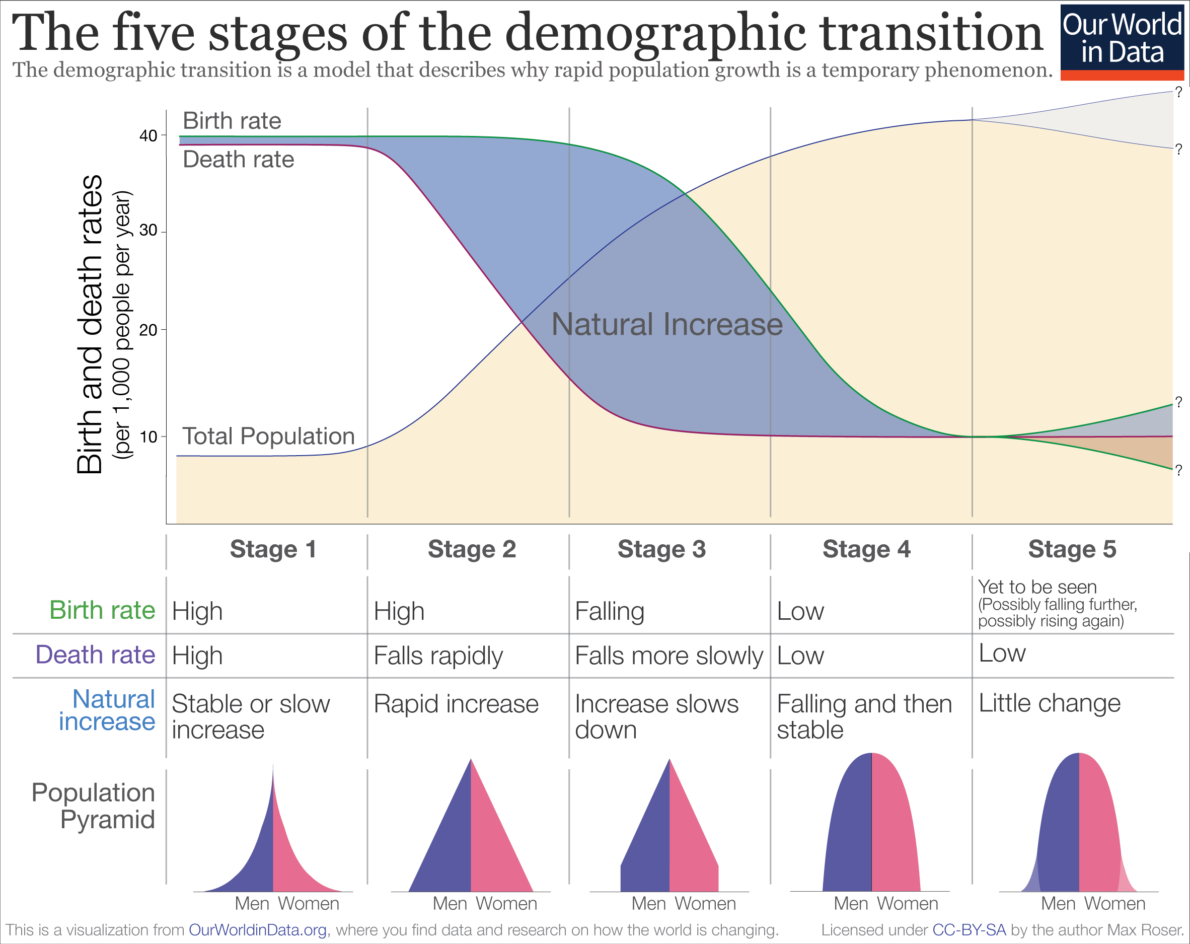 Identifique A Tendência Demográfica Representada Pelo Gráfico
