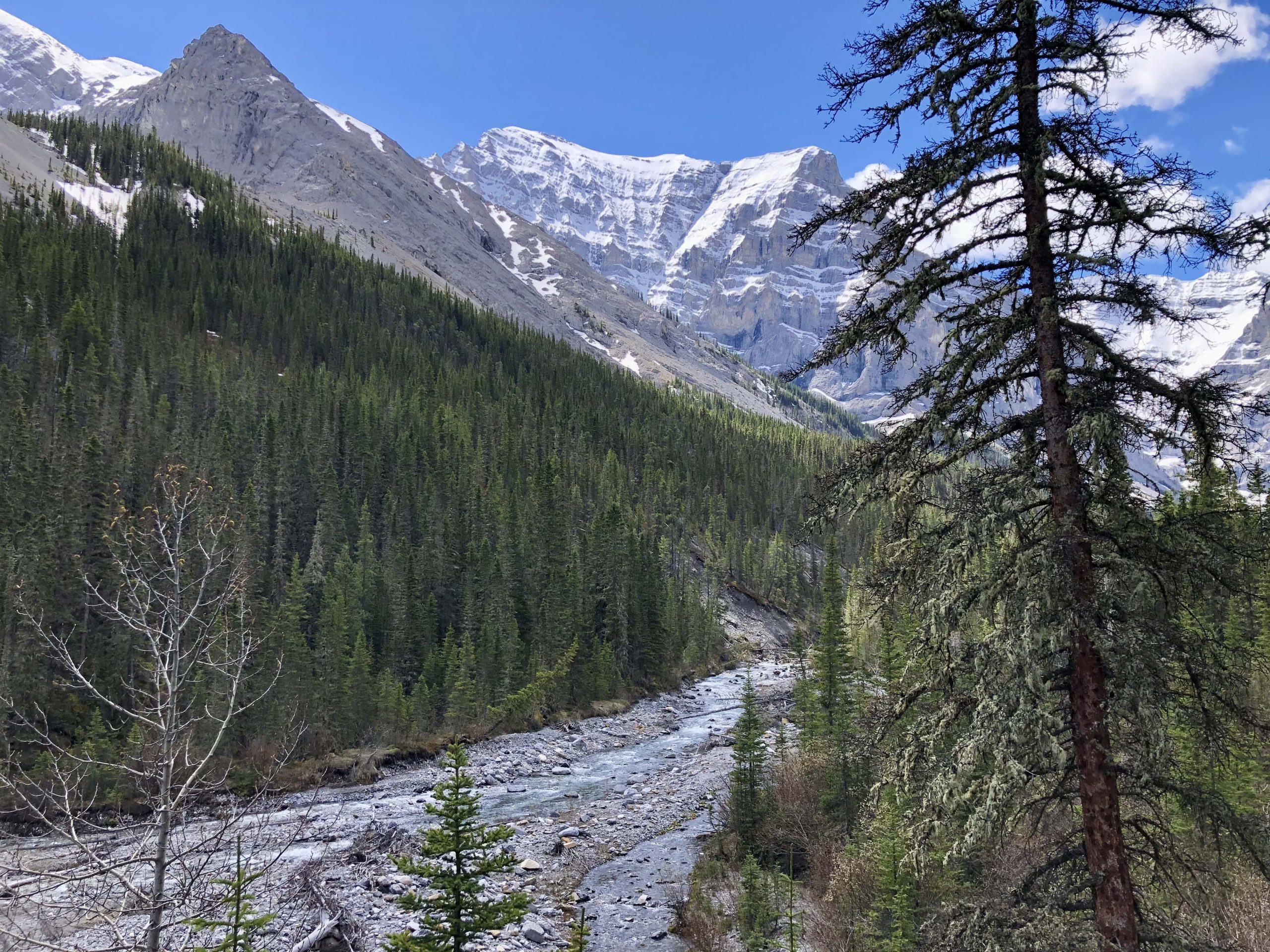Ribbon Falls Hike in Kananaskis, Alberta Out & Across