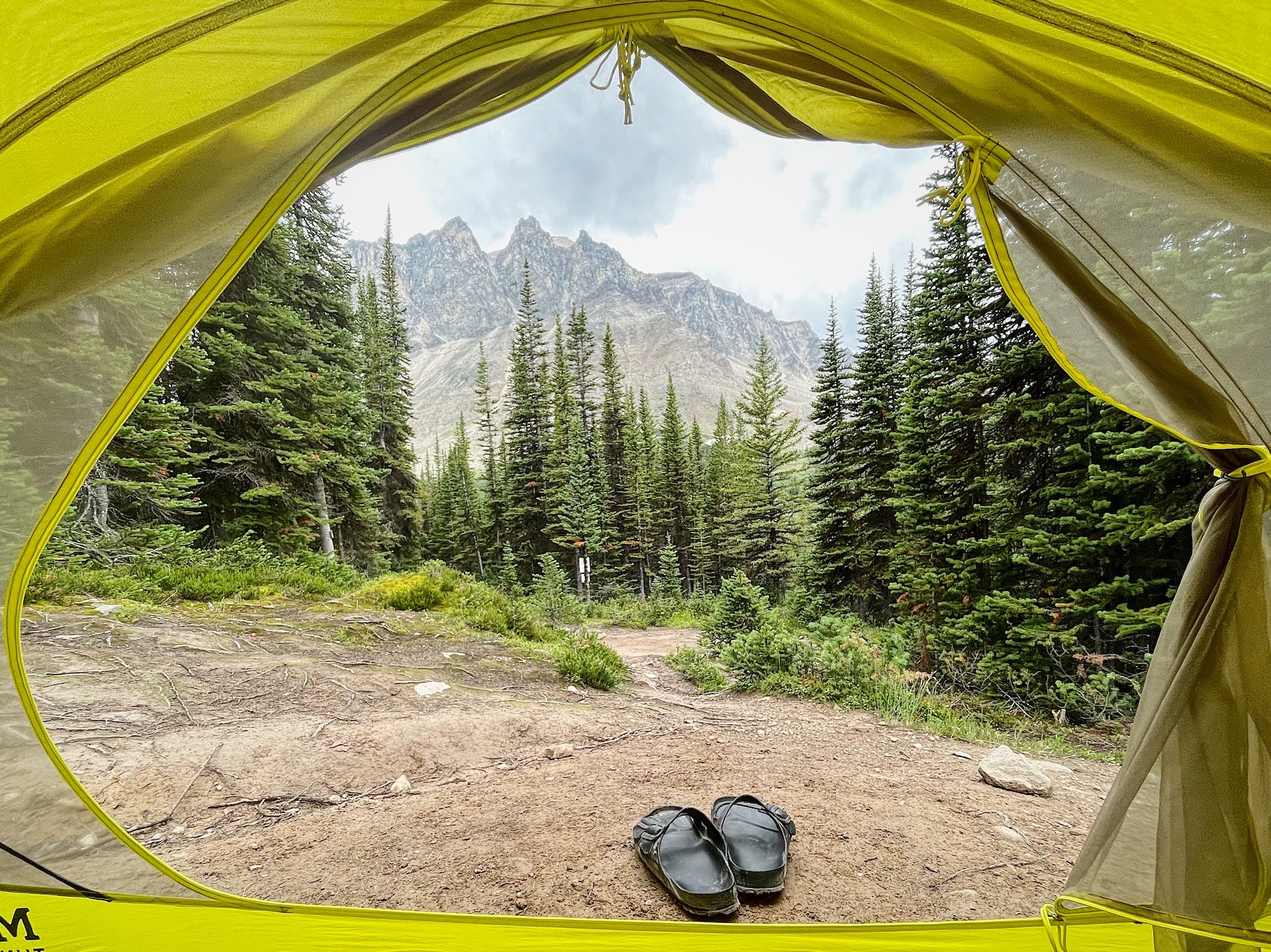 Are Dogs Allowed In Jasper Campgrounds