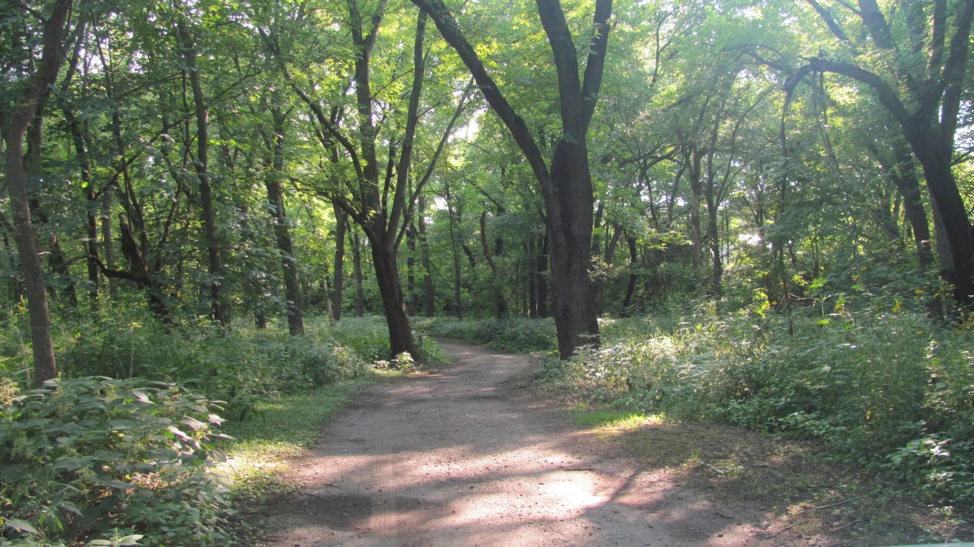 Secluded Camp Site by the Maquoketa River in Monticello, Iowa Outback Canoe and Camping