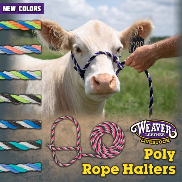 Rope Halters Outback Labs