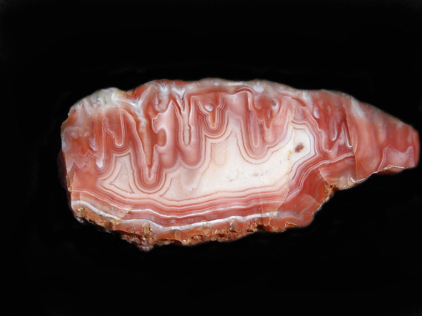 Western Australian Agates