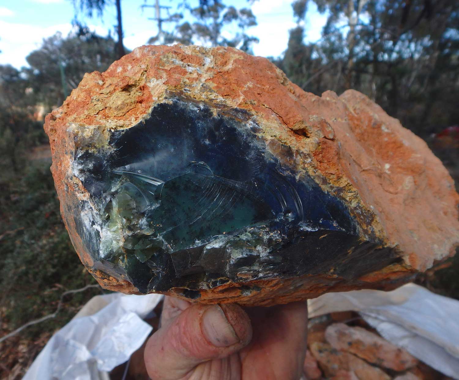Western Australian Dendritic Opal