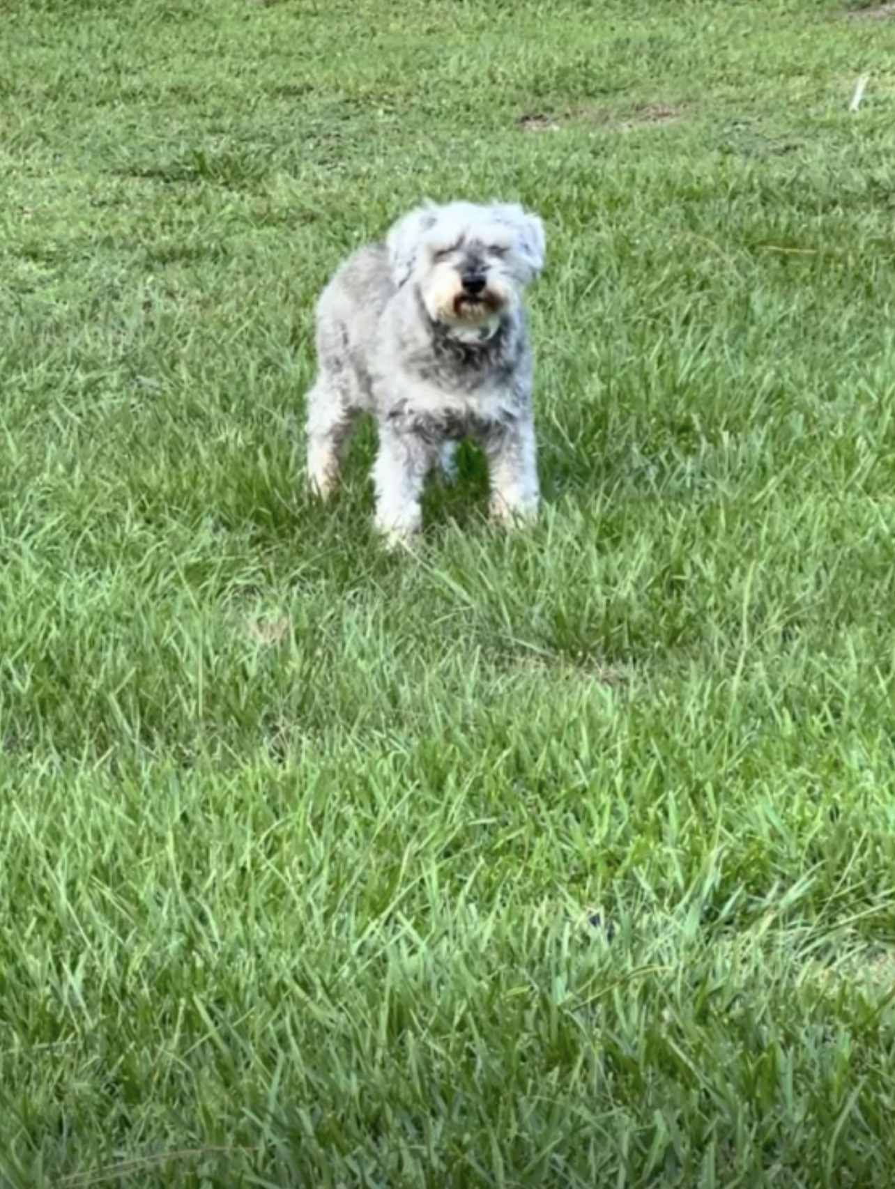 Roscoe P Coltrane Outback Mobile Vet