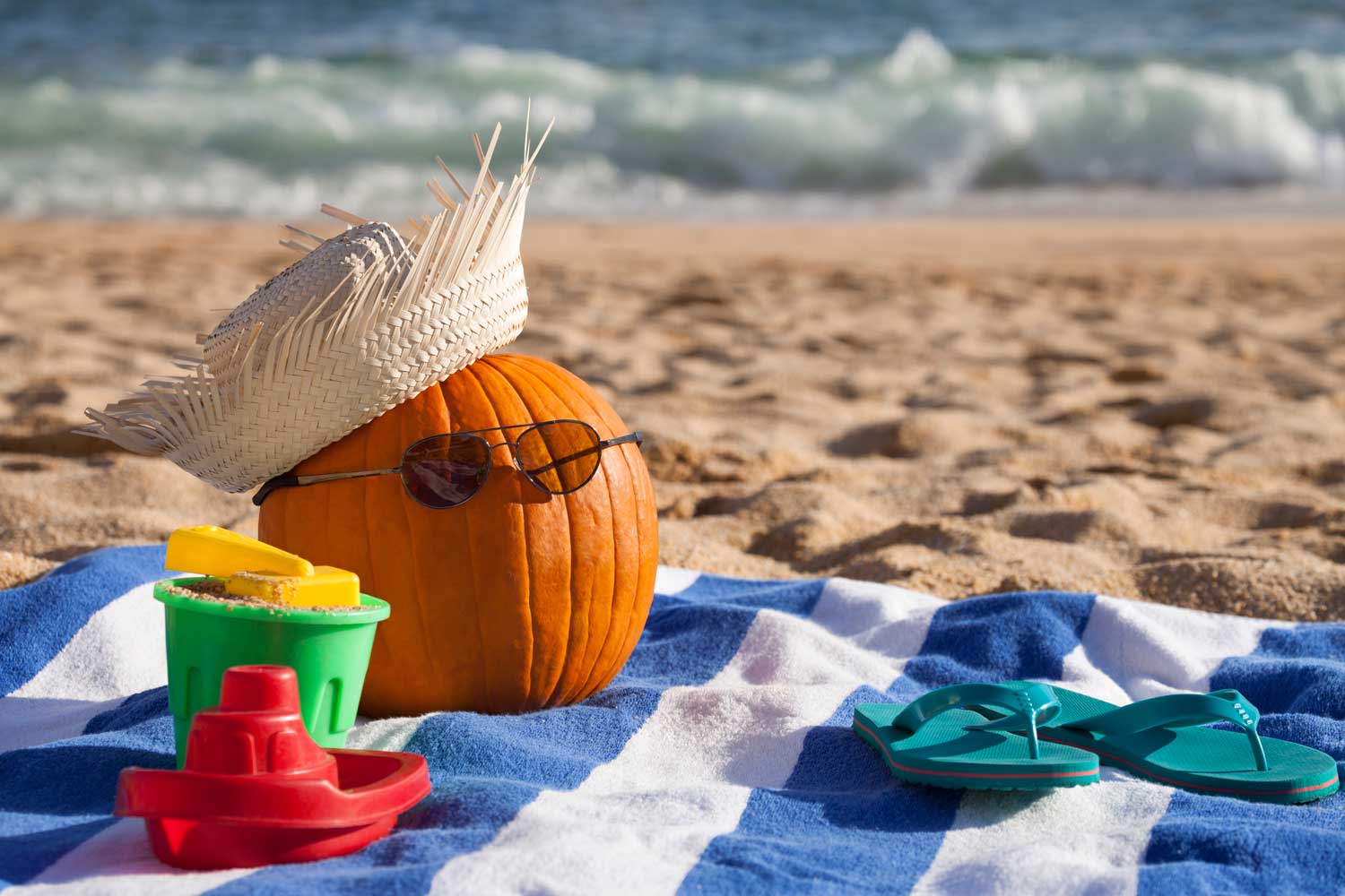 12 Creative Ways To Spend a Gay Thanksgiving In Florida