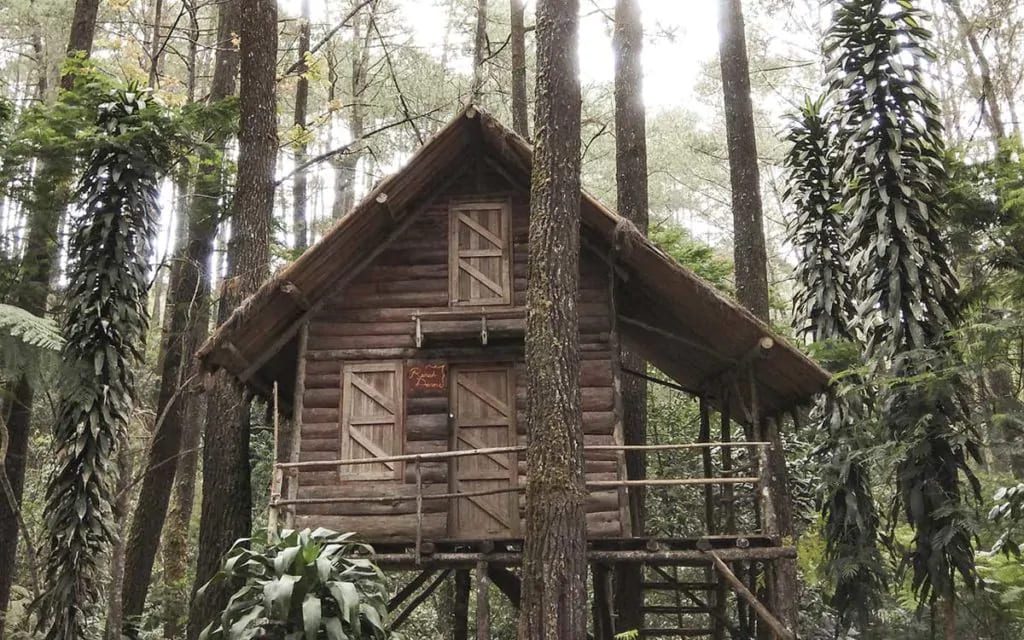 Best Log Cabin Rentals In Florida