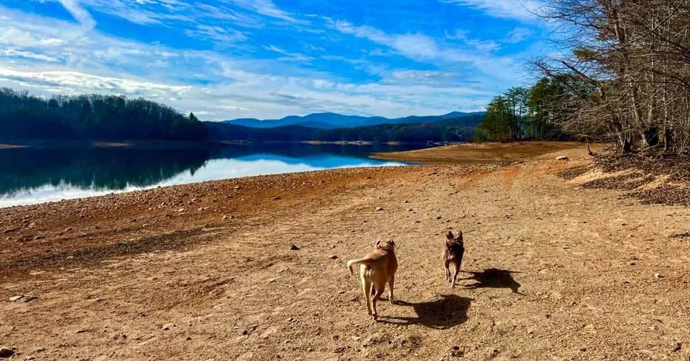 LGBTQ+ Travel Guide to Blue Ridge, OutCoast Nation