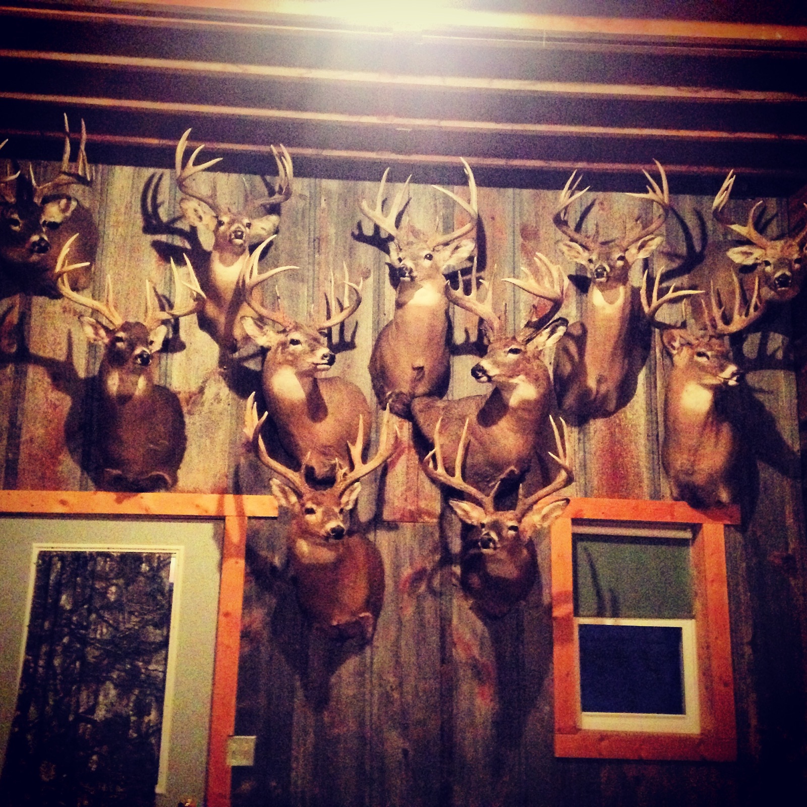 South Dakota Whitetails Outdoor Devotion