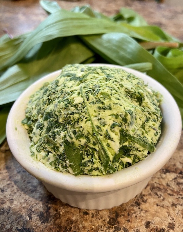 Ultimate Guide to Wild Edibles Wild Ramps Outdoor Adventure Sampler