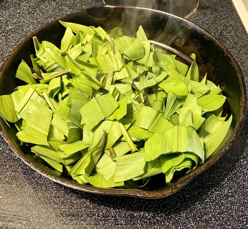 Ultimate Guide to Wild Edibles Wild Ramps Outdoor Adventure Sampler