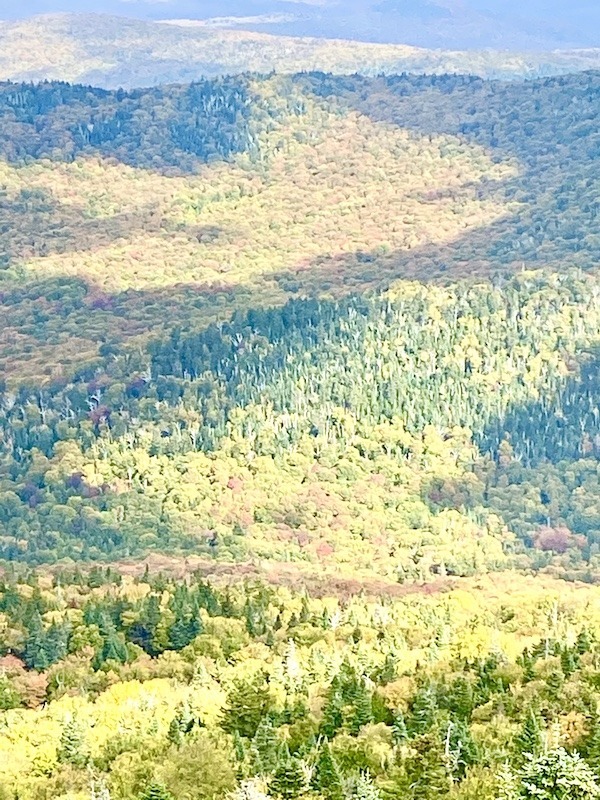 The Most Amazing Viewpoints in Vermont Outdoor Adventure Sampler