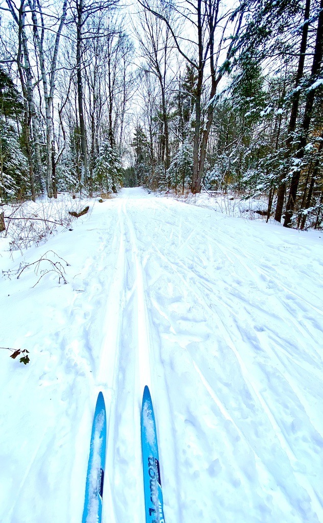 Free Cross Country Skiing near Hanover, New Hampshire