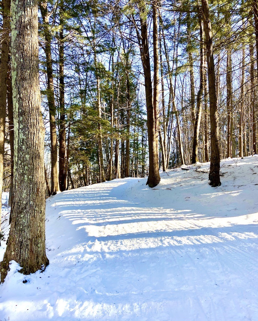 Free Cross Country Skiing near Hanover, New Hampshire