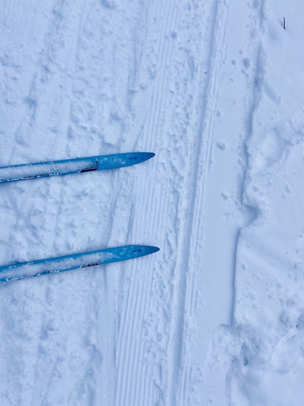 Free Cross Country Skiing near Hanover, New Hampshire
