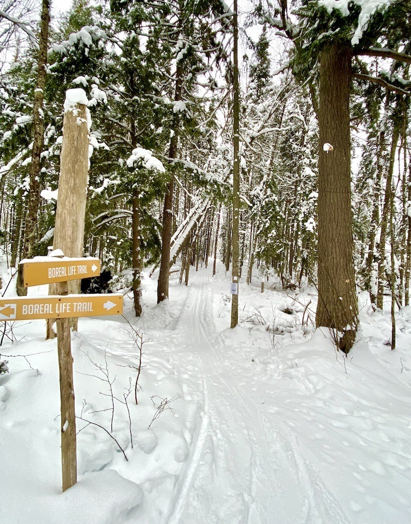 Best Cross Country Skiing in the Adirondacks
