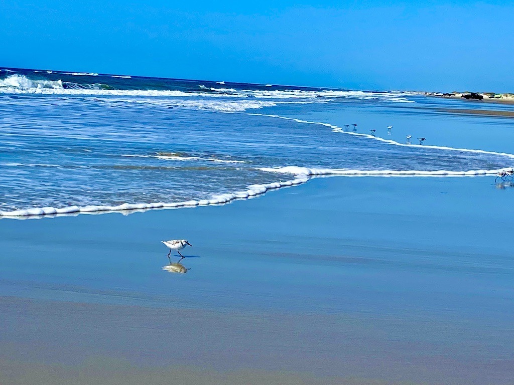 The Best Outdoor Adventures on Ocracoke Island Outdoor Adventure Sampler