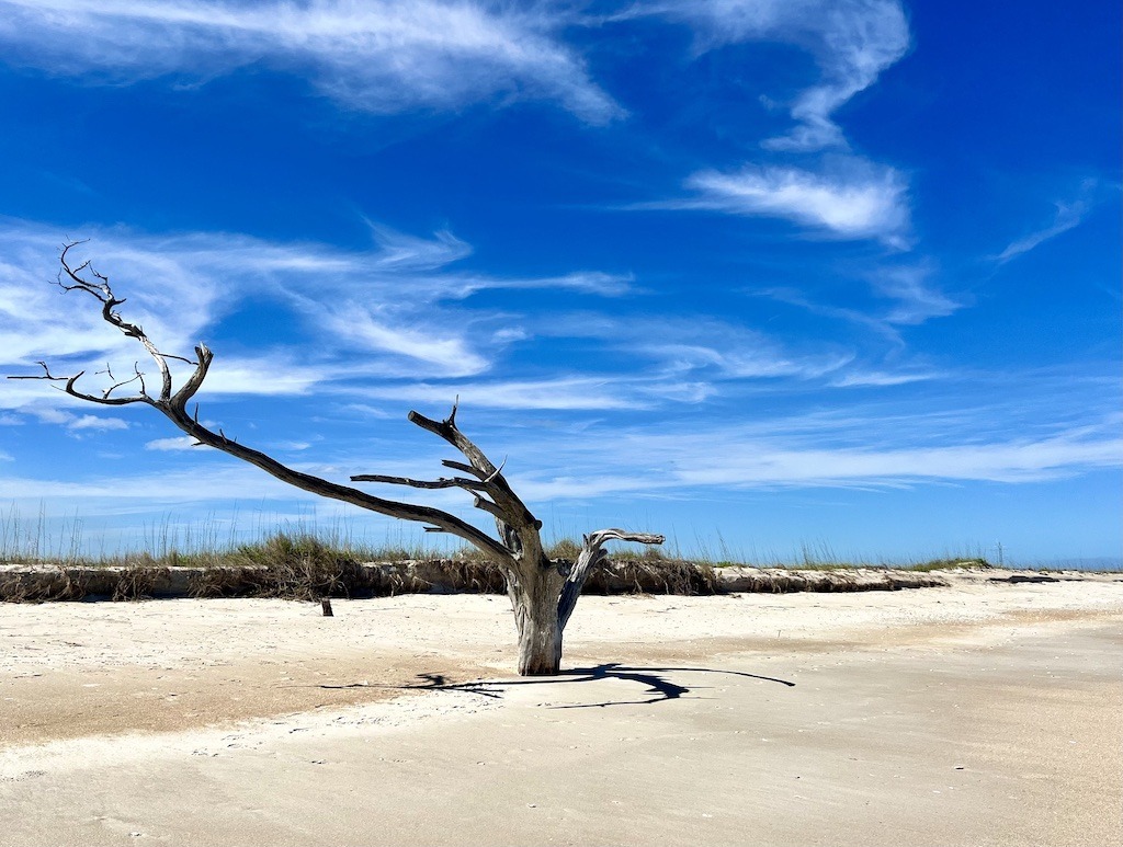 Kayaking and Camping on Masonboro Island in North Carolina Outdoor